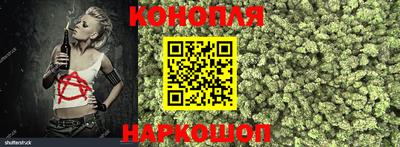 гидра Заволжье
