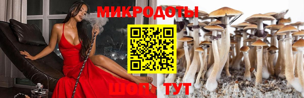 Псилоцибиновые грибы ЛСД  Вход с VPN  Ливны 